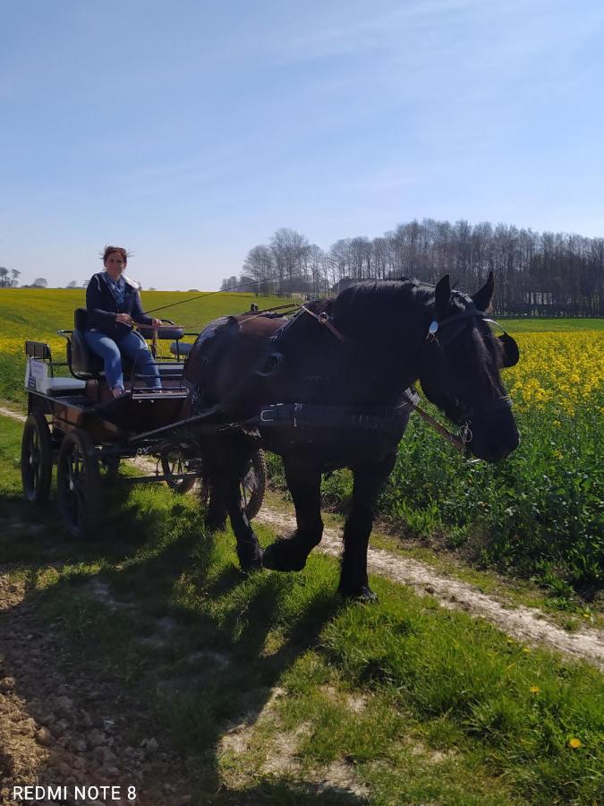 Veritable Roulotte Hippomobile "La Bailleul" Mentheville Zewnętrze zdjęcie